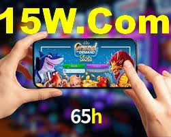 Experiência VIP 65h